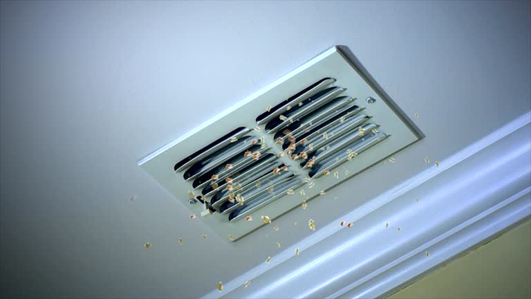Best Affordable HVAC Duct Cleaning  in Taylor, TX