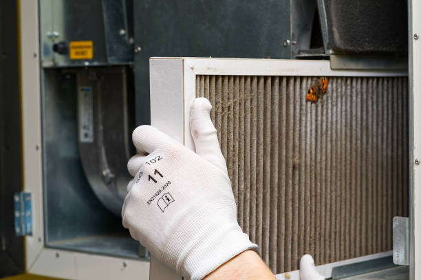 Best Commercial Air Duct Cleaning  in Taylor, TX