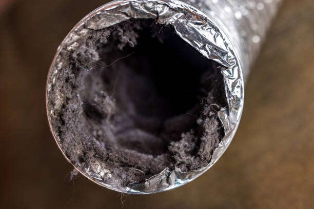 Best Commercial HVAC Duct Cleaning  in Taylor, TX
